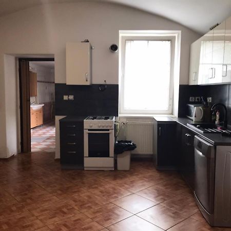 Apartament Dvacitka Czeskie Budziejowice Zewnętrze zdjęcie