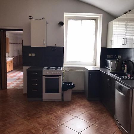 Apartament Dvacitka Czeskie Budziejowice Zewnętrze zdjęcie